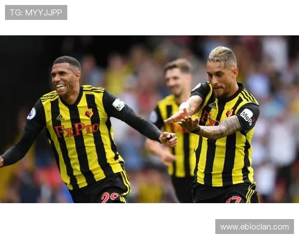 沃特福德赛季后或将解雇主帅斯蒂尔